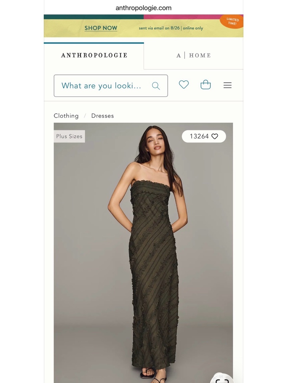 Anthropologie Olive Green Strapless Textured Maxi Dress Size Medium. NWT